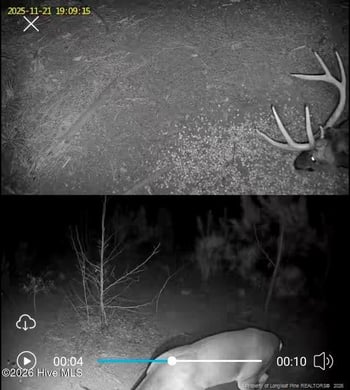 TBD Scholl Rd, Hamlet, NC 28345