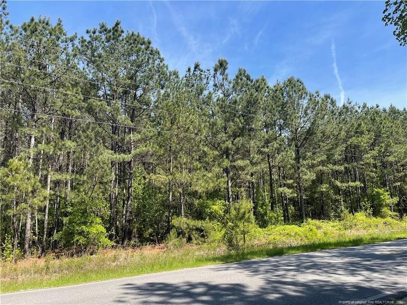 TBD Sheriff Watson Rd, Sanford, NC 27332