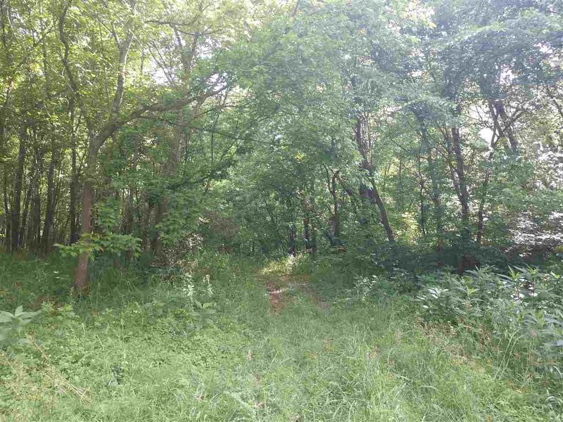 TBD Shoccoree Ridge Dr Lot B, Chapel Hill, NC 27516