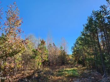 Tbd Snow Camp Rd, Snow Camp, NC 27349
