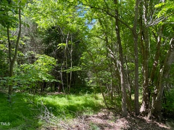 Tbd Thompson Rd, Graham, NC 27253