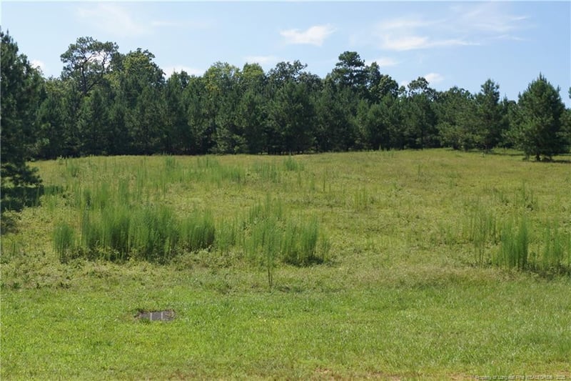 TBD Waterfall Ln, Sanford, NC 27330