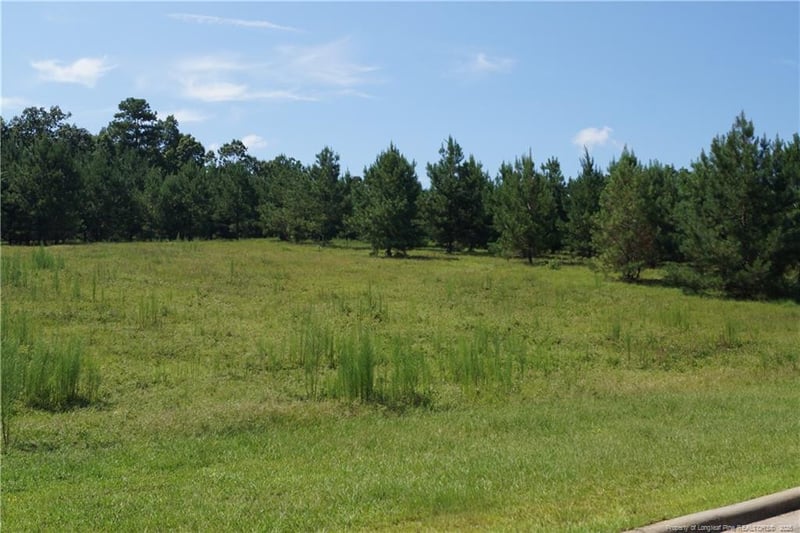 TBD Waterfall Ln, Sanford, NC 27330