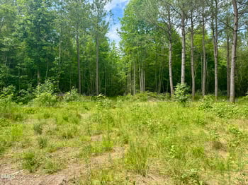 Tract 1 Frazier Rd, Spring Hope, NC 27882