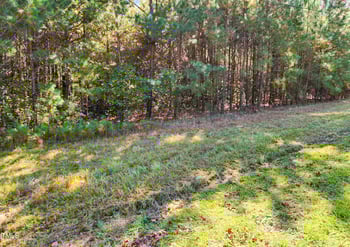 Tract 1a Abattoir Rd, Coats, NC 27521