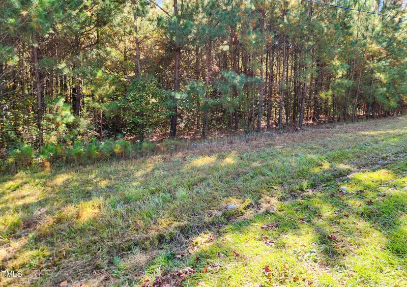 Tract 1a Abattoir Rd, Coats, NC 27521