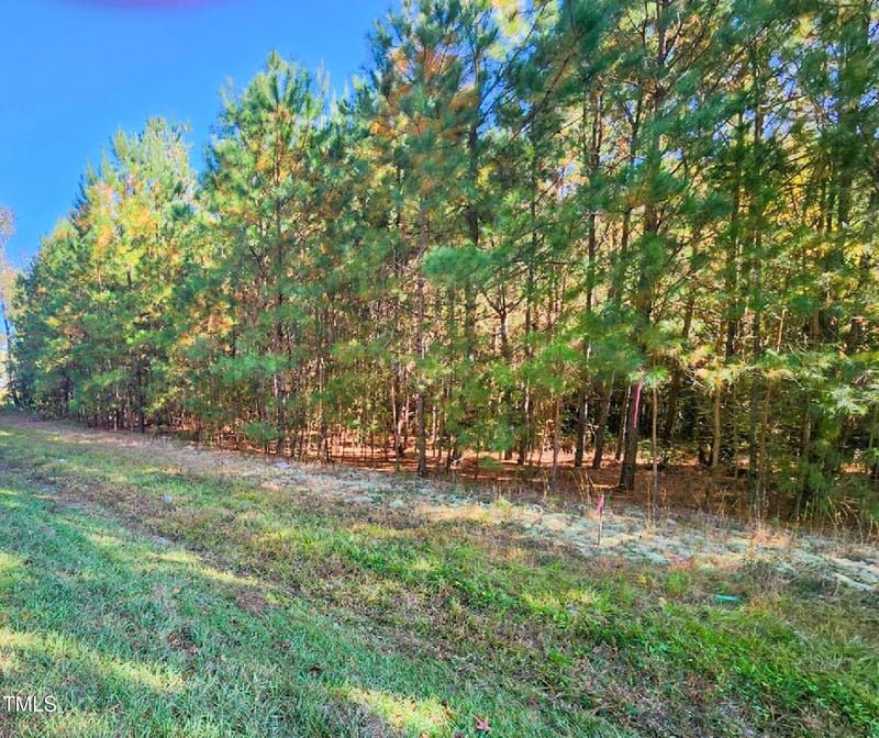 Tract 1a Abattoir Rd, Coats, NC 27521