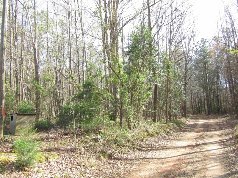 Tract 3A Driver Rd Lot 3A, Middlesex, NC 27557