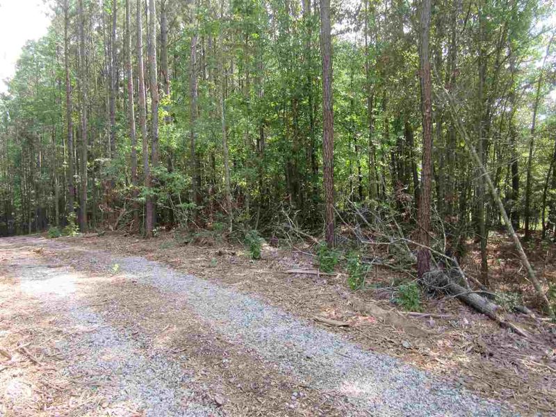 Tract 4 Earpsboro Chamblee Rd Lot Tract 4, Wendell, NC 27591