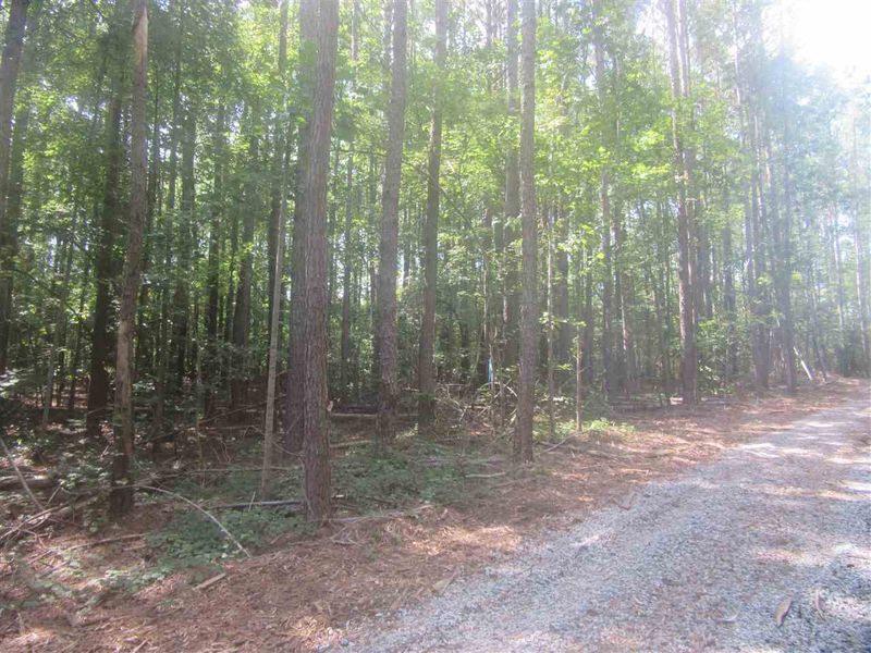 Tract 4 Earpsboro Chamblee Rd Lot Tract 4, Wendell, NC 27591