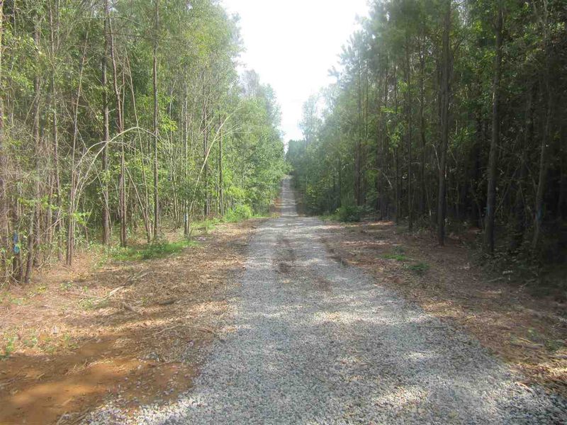 Tract 4 Earpsboro Chamblee Rd Lot Tract 4, Wendell, NC 27591
