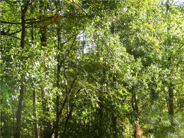 Tract 5 Creech Rd Lot 5, Garner, NC 27529