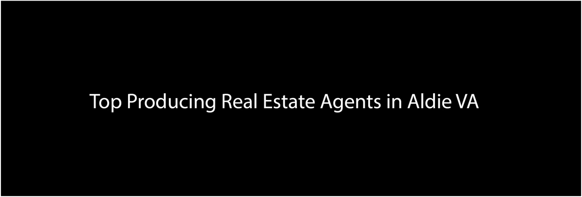 Top Producing Real Estate Agents in Aldie VA 