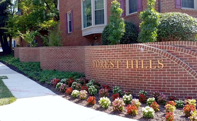 Forest Hills