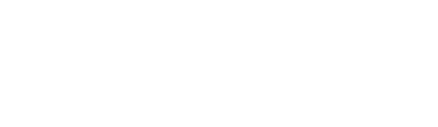 Endless Coast Collective