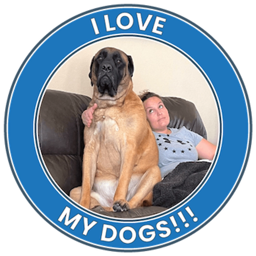 I love my dogs
