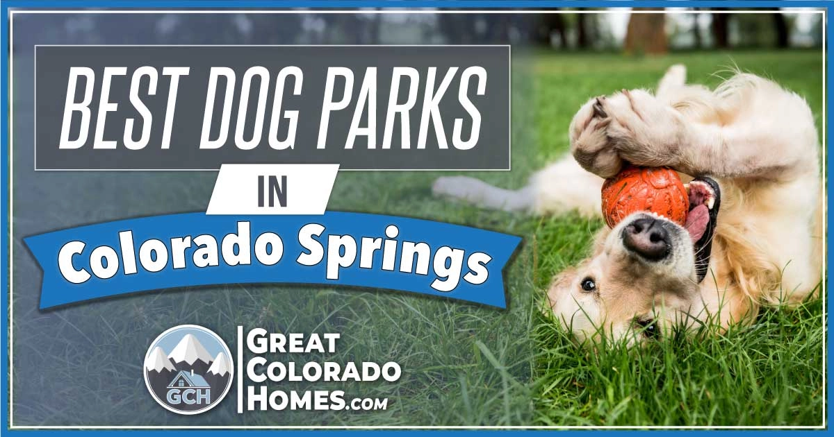 6 Best Dog Parks and Dog-Friendly Places in Colorado Springs