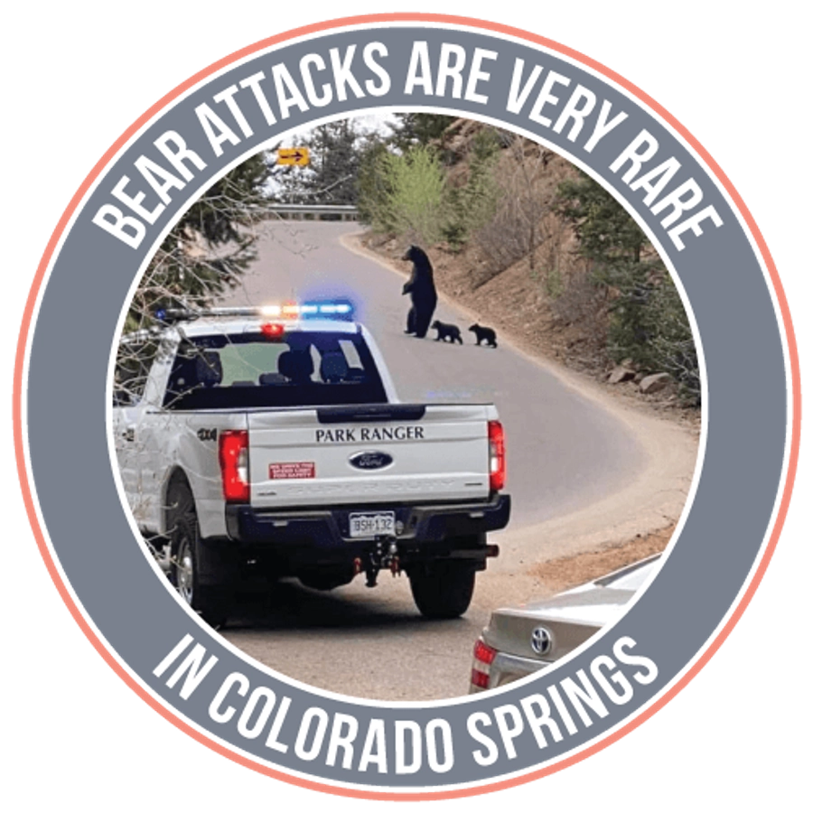 Bear attacks are rare in Colorado Springs