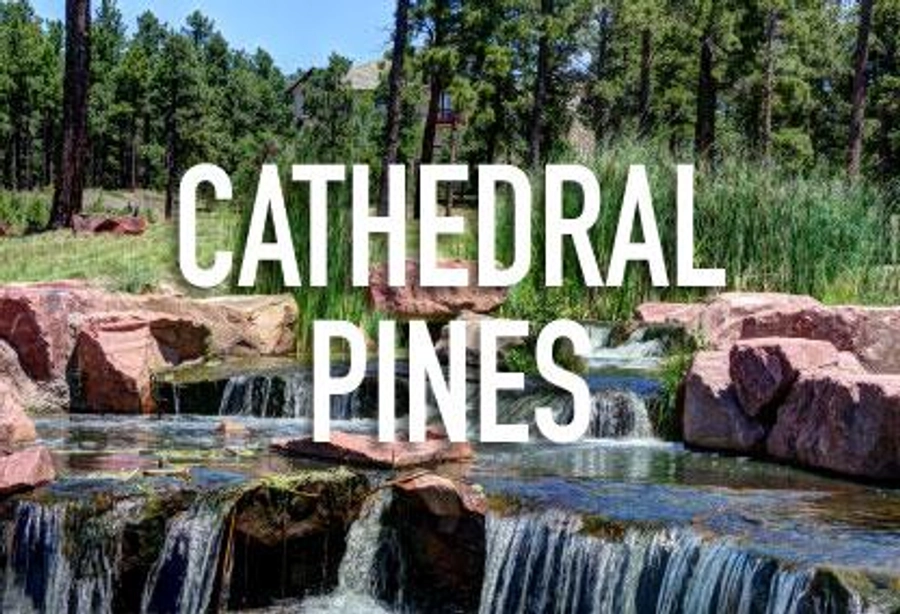 Cathedral Pines in Colorado Springs