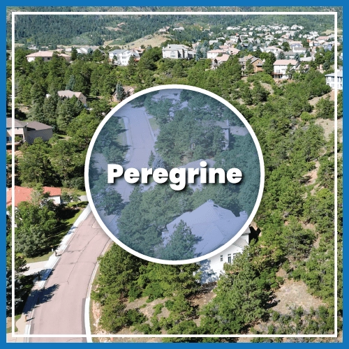 Peregrine Colorado Springs