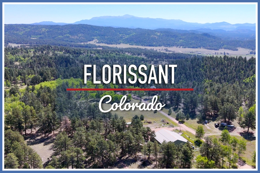 Florissant, CO Homes for Sale & Real Estate