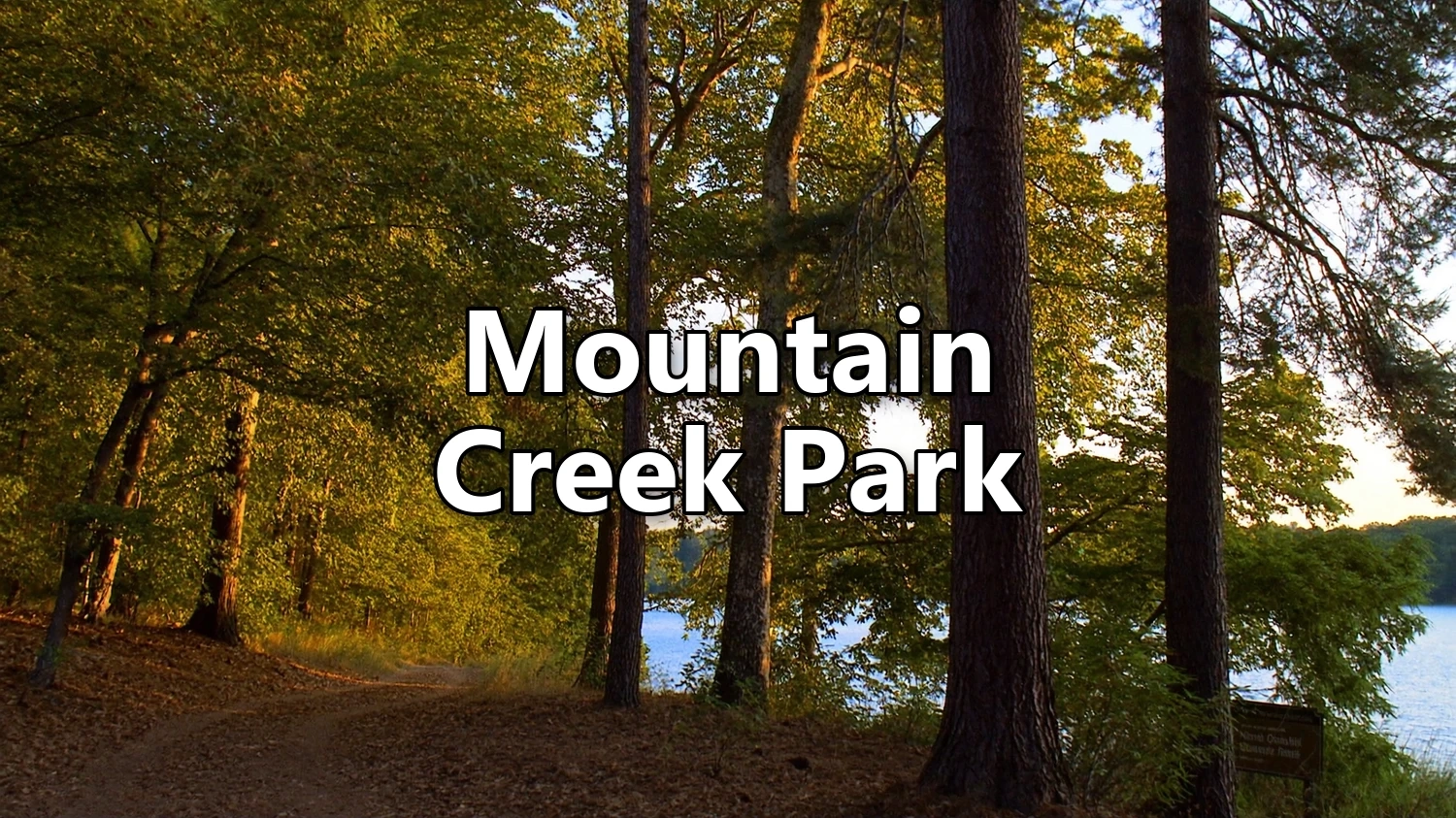 5 Reasons to Love Mountain Creek Park in Sherrills Ford