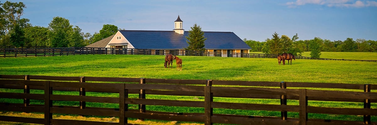 10 Things to Know BEFORE Moving to Kentucky
