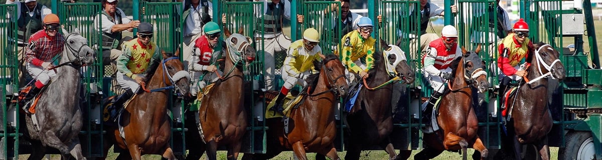 Kentucky Derby 2026 Guide: Tickets, What to Wear, Events & Local Tips