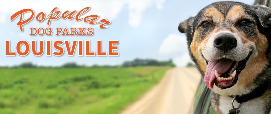 Best Dog Parks in Louisville KY