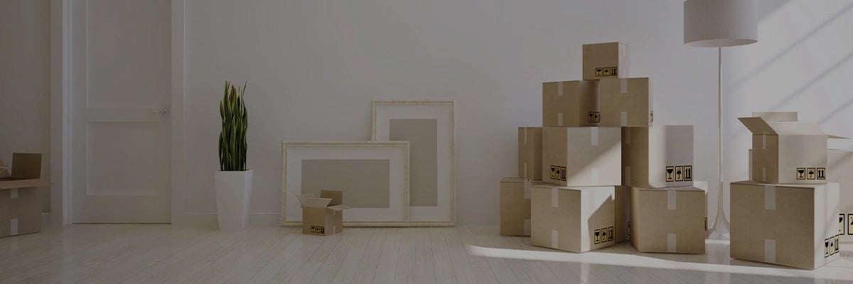 Moving Tips: 36 Easy-to-follow Tips & Ideas [INFOGRAPHIC]