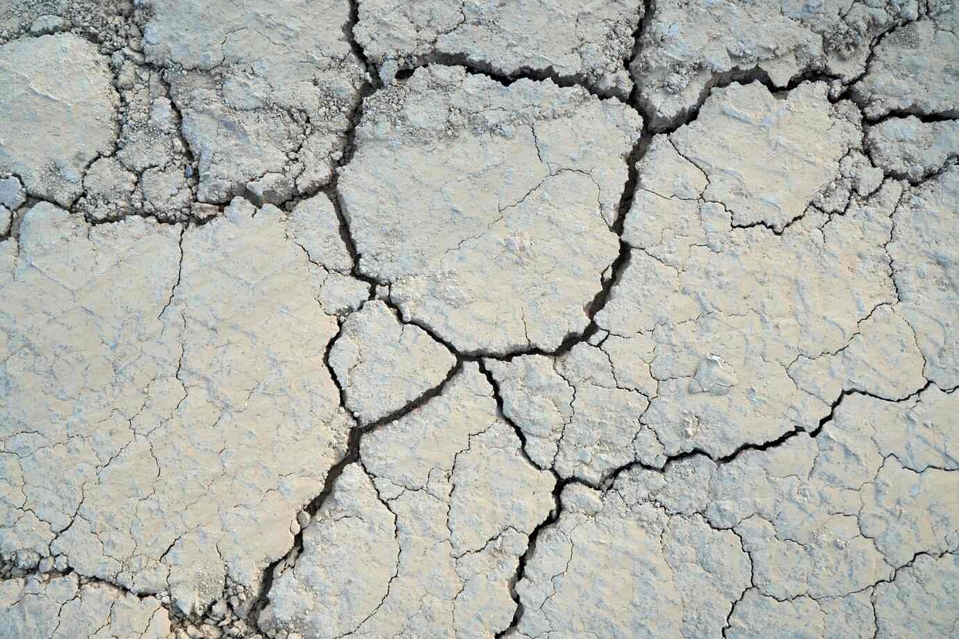 4 Signs of Water Damage on Your Floors and Ways to Fix It