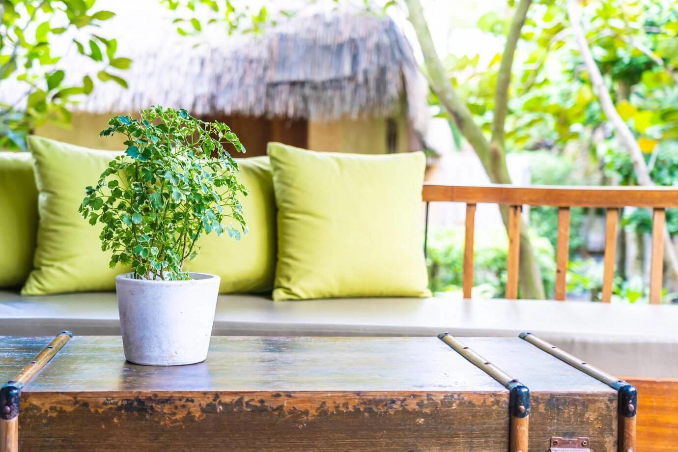 7 Simple Changes to Improve Your Outdoor Living Area