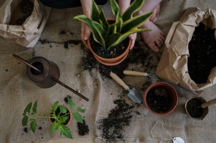 All The Reasons Why A DIY Backyard Renovation Is More Rewarding Than Paying A Pro