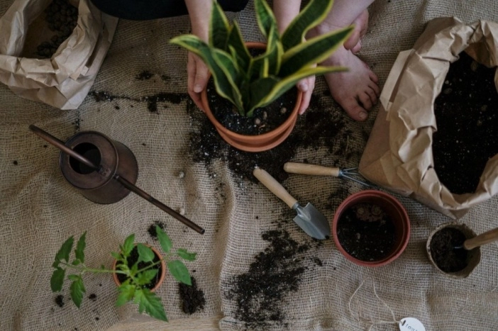 All The Reasons Why A DIY Backyard Renovation Is More Rewarding Than Paying A Pro
