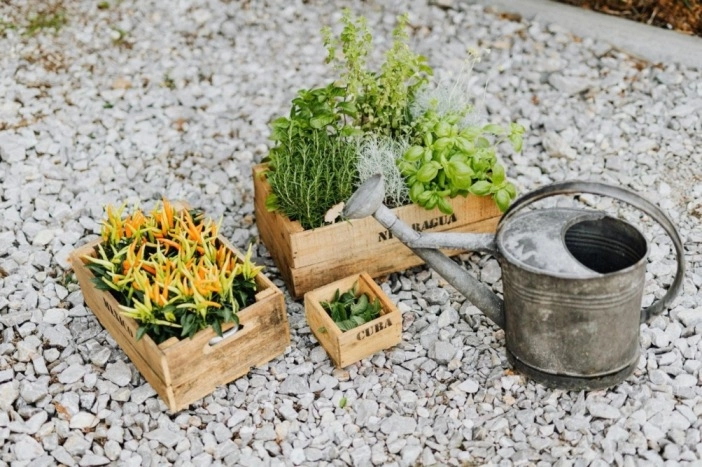 All The Reasons Why A DIY Backyard Renovation Is More Rewarding Than Paying A Pro