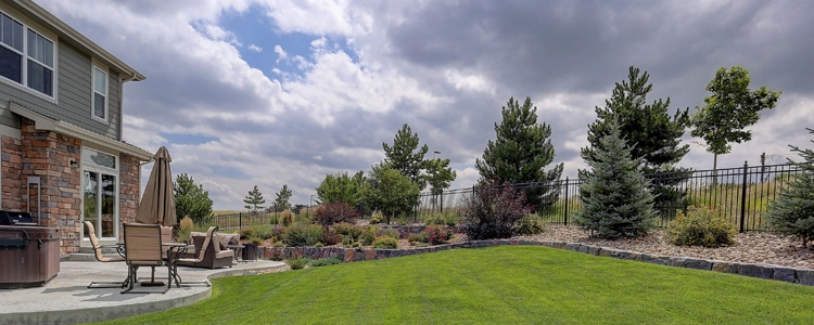Backyard Views of Highlands Ranch’s Wilderness Backyard Views of Highlands Ranch’s Wilderness