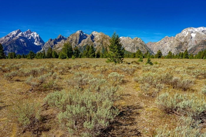 Cash vs. Realtor: Which Is the Better Way to Sell Vacant Land?