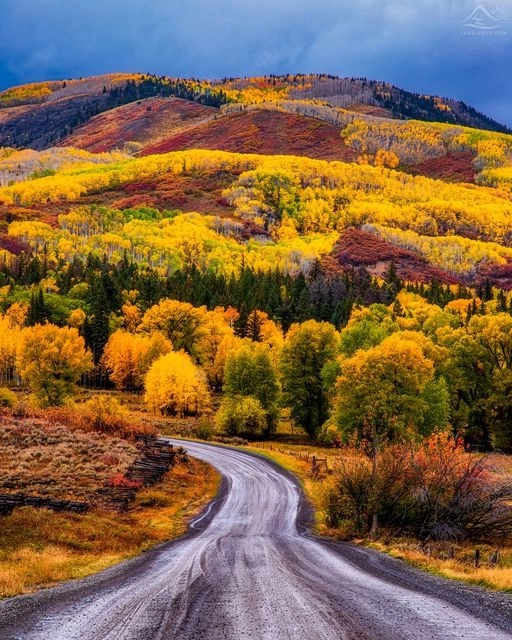 Denver Area Real Estate Market Report October 2023 | Kenna Real Estate