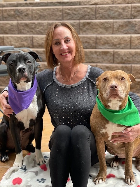 Discover the Best Dog Parks and Trails in Greeley, CO | Dog-Friendly Areas