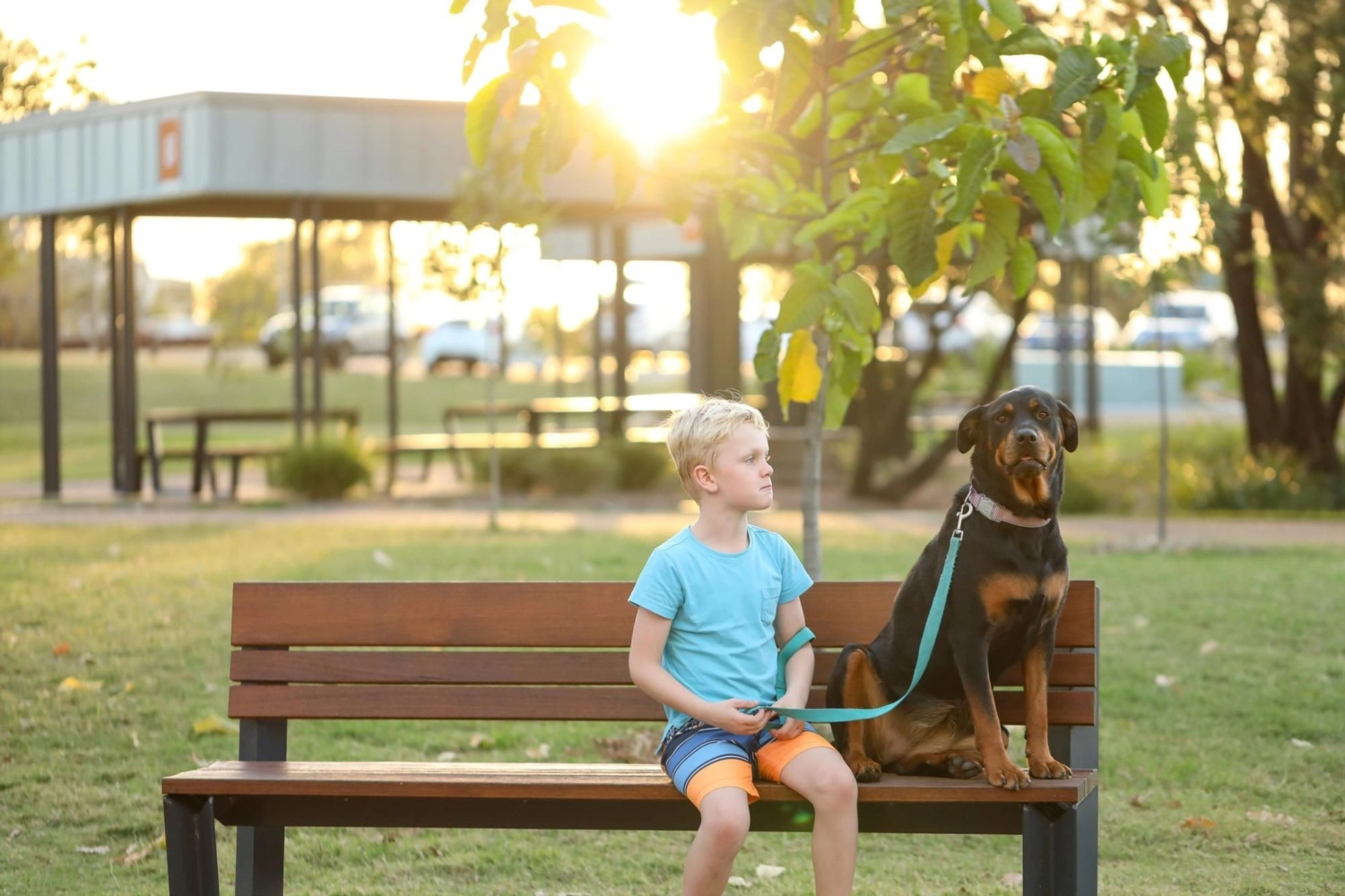 Discover the Best Dog Parks in Highlands Ranch, CO | Top Dog Parks | Kenna Real Estate