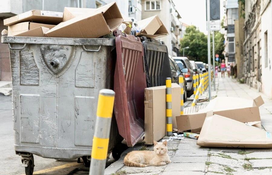 Dumpster Rentals for Real Estate Investors: Efficient Cleanup Solutions