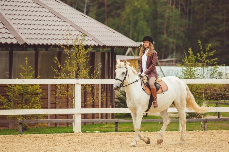 Unveiling the Contrast: Equestrian Residences vs. Agricultural Properties in Colorado | Kenna Rea...