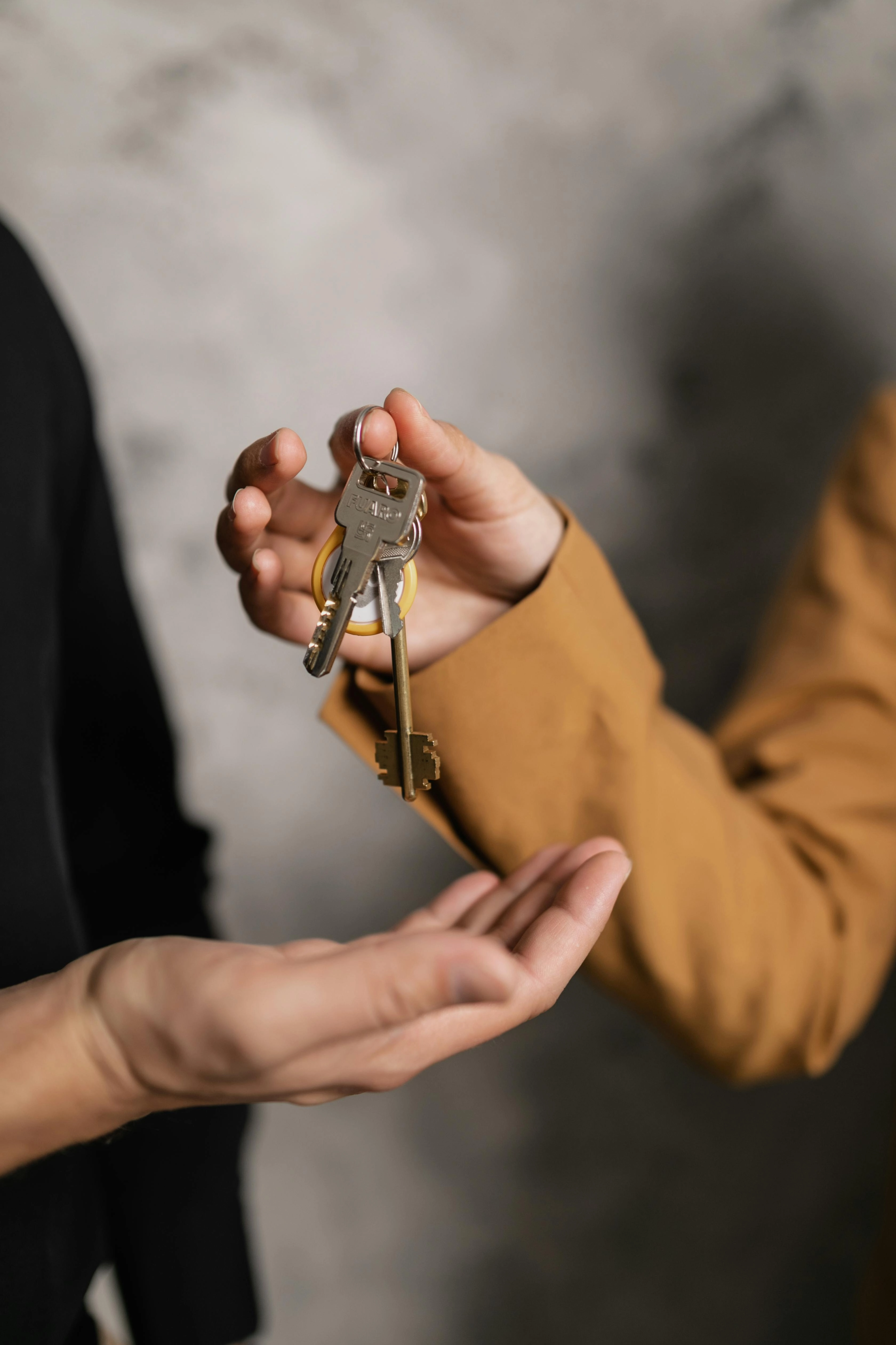 Every Single Thing You Should Have With You When Renting an Apartment Next Semester