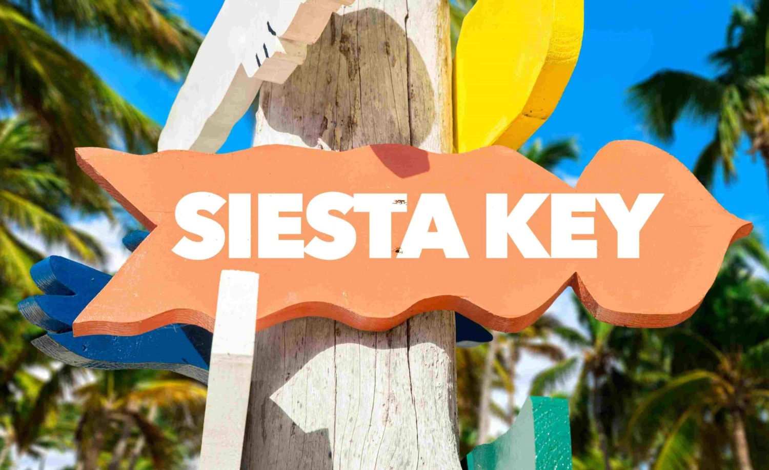 Exploring Luxury Living: Siesta Key’s Most Sought-After Real Estate 
