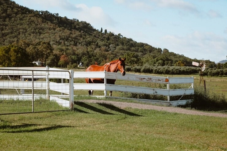 Farms for Sale in Northern Colorado | Nothern Colorado Farms | Kenna Real Estate