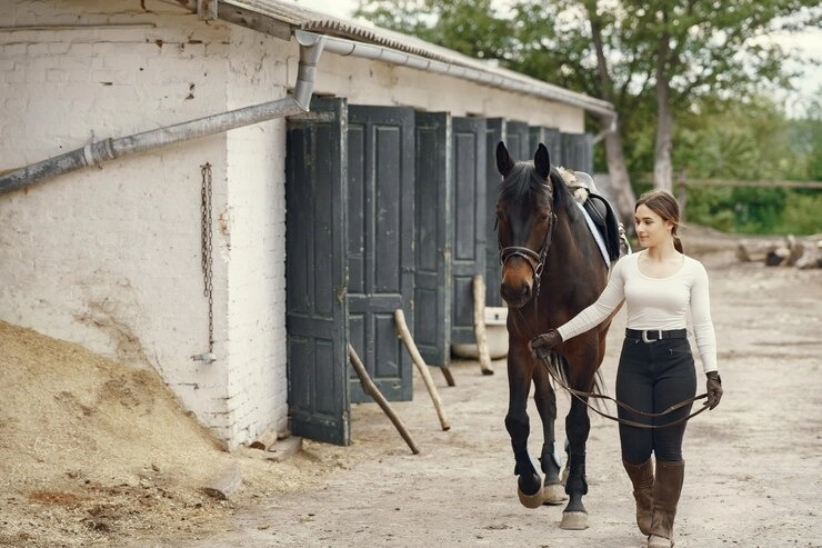 Your Comprehensive Guide to Buying Horse Property in Colorado | Kenna Real Estate 303-710-2609