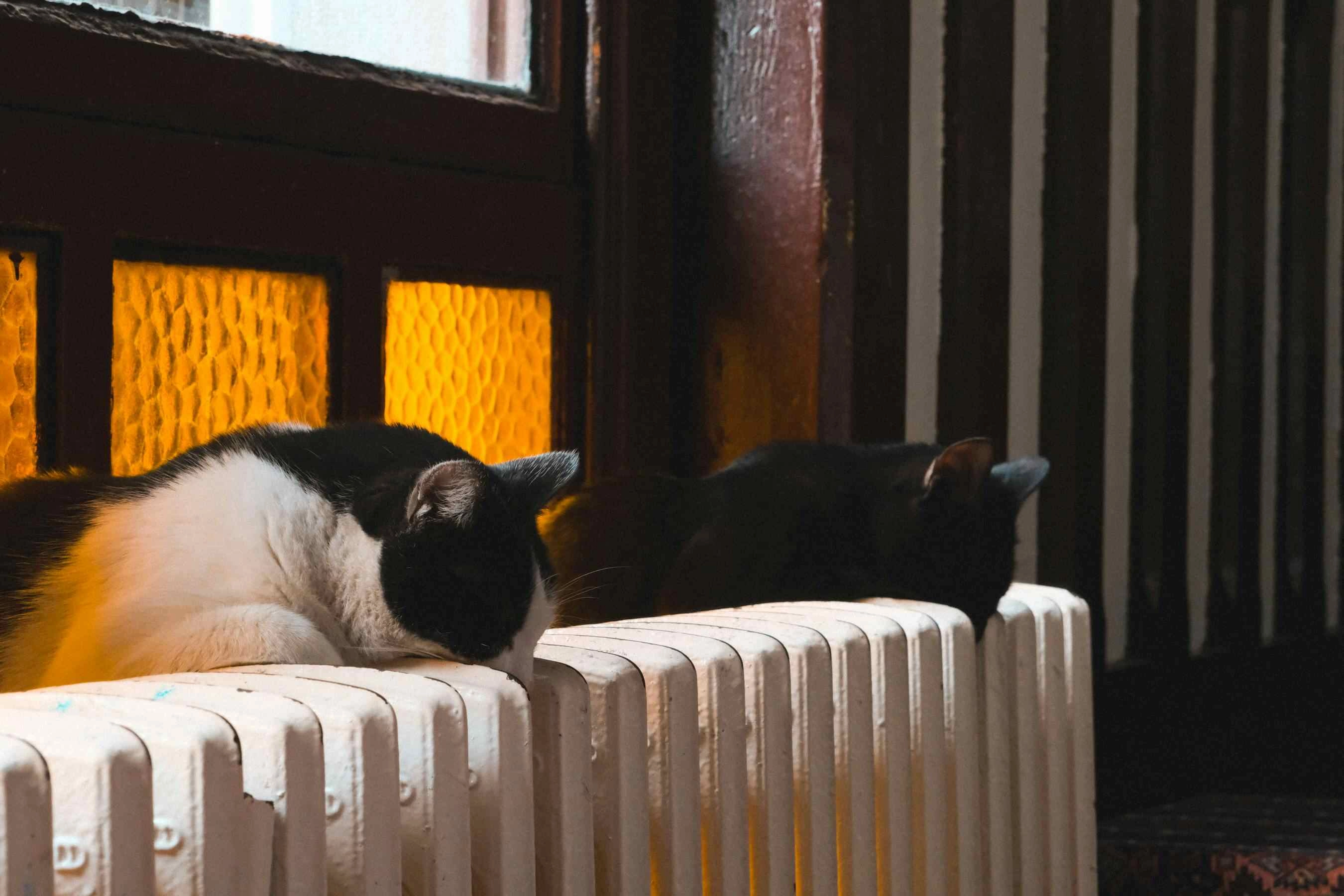 Furnace vs. Heat Pump: What Makes Financial Sense for US Homeowners?