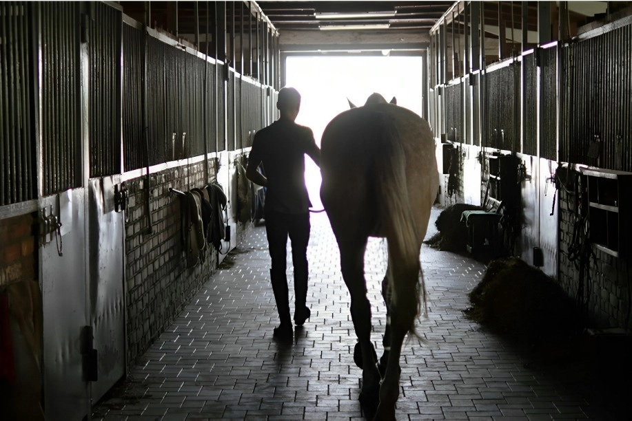 Horse Properties in Denver, Colorado -