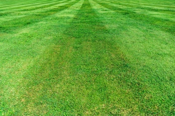 How Artificial Turf Enhances Curb Appeal and Boosts Property Value