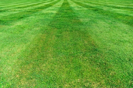 How Artificial Turf Enhances Curb Appeal and Boosts Property Value